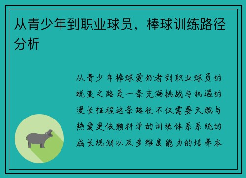 从青少年到职业球员，棒球训练路径分析
